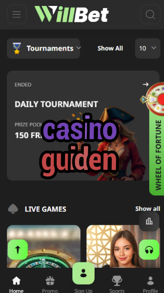 Casino Guiden - Ultimate Casino Guide-bgocasinouk.ydblkf.net