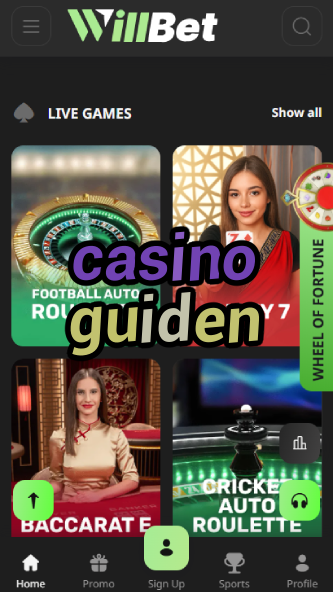 Casino Guiden - Ultimate Casino Guide-bgocasinouk.ydblkf.net